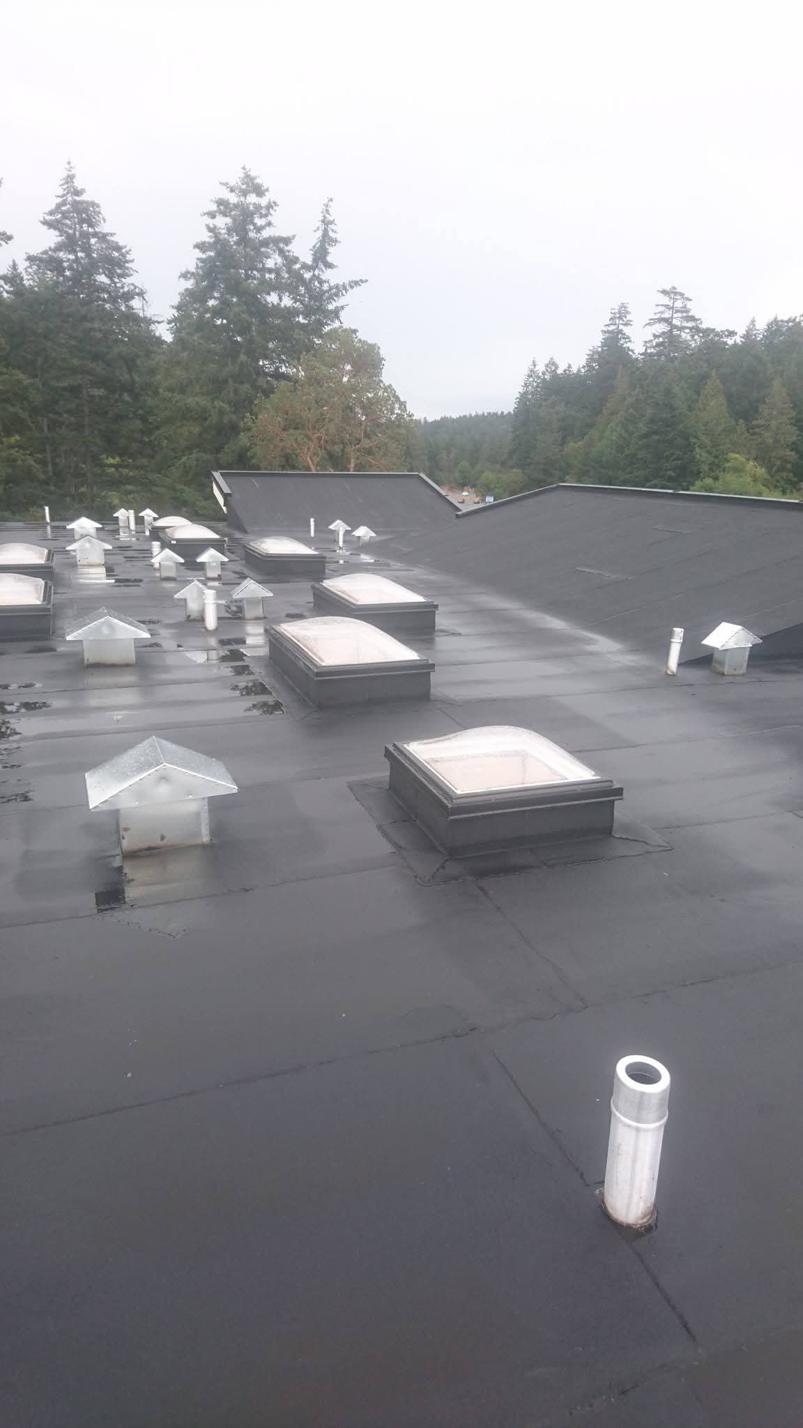 Residential Flat Roofs